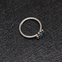 Thumbnail for Gilded Nose Ring