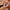 Photo Personalized Bracelet featuring a custom photo projection pendant by Brother & Sisters, perfect for cherishing memories.